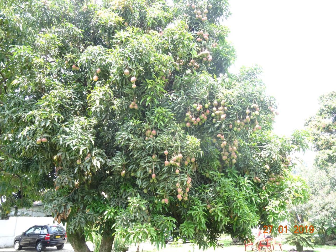 Kivu Beach Garden Gisenyi Exterior photo